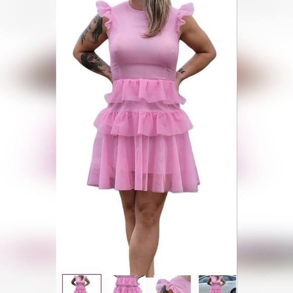 Ewa Herzog Dresses & Skirts - EWA HERZOG Designer Pink Multi Layer Tulle Dress Final Discount